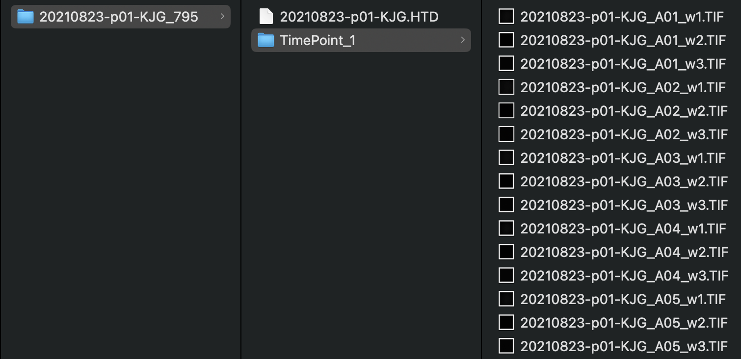 Feeding file structure
